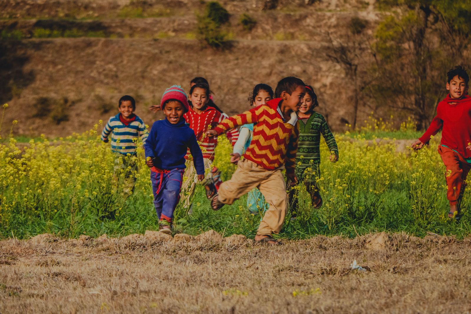 A group of children in colourful sweaters running and laughing together through a bright yellow flower field